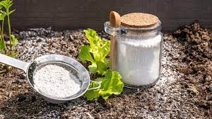 what is diatomaceous earth and what is