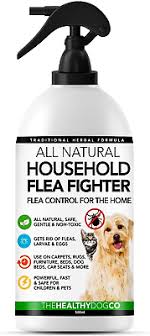 natural flea treatment for house