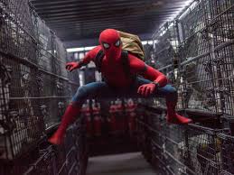 No way home is clearly set several months later at least, given set photos have. Spider Man 3 Movie Title Revealed To Be No Way Home