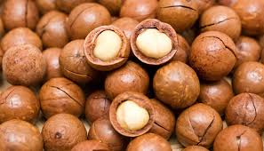 Image result for macadamia nuts