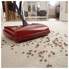 ewbank evolution carpet sweeper