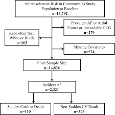 Flow Chart Of Participants In The Atherosclerosis Risk In