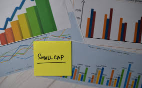 5 most undervalued smallcap stocks to