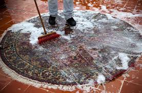 area oriental rug cleaning