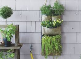 hanging gardens grow food or flowers