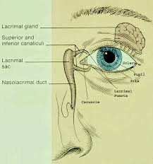watery eyes blocked tear duct surgery
