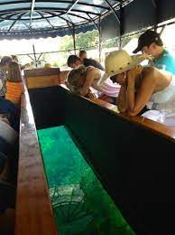 glass bottom boat picture of the