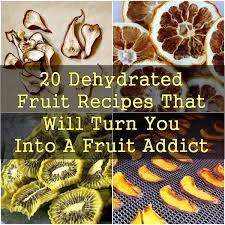 20 dehydrated fruit recipes that will