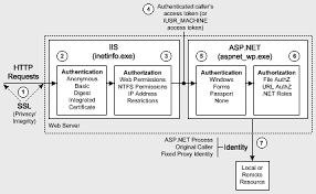 asp net web application security review