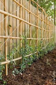 6 bamboo garden stakes trellis poles
