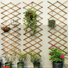 Expanding Wooden Wall Trellis Climbing