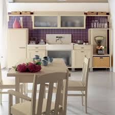 Purple Tile Accents In Country Kitchen