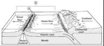 sea floor spreading study guide