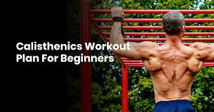 calisthenics workout plan for beginners