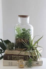 How To Plant Up A Terrarium Pots And