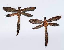 Dragonfly Bug Insect Shapes