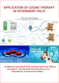 APPLICATION OF OZONE THERAPY IN VETERINARY FIELD
