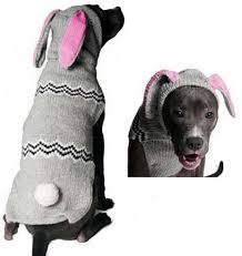 Bunny Hoodie Hand Knit Dog Sweaters