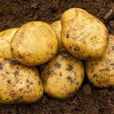 JBA Seed Potatoes gambar png