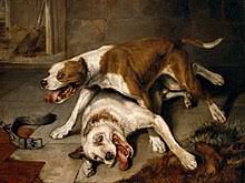 22,351 likes · 5 talking about this. Dog Fighting Wikipedia