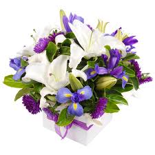 Whether it's a native flower or garden flower, easily pick and order your flowers online, and have it freshly delivered straight to your door. Exquisite Arrangement Costco Australia