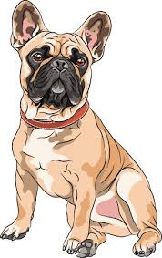 cartoon frenchie vector images over 330