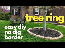 Easy Diy No Dig Border Tree Ring You