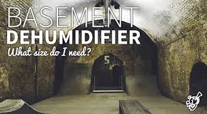 dehumidifier for basement a complete