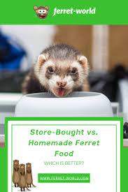 bought vs homemade ferret food