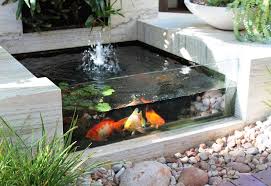 Minimalist Fish Pond Design