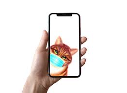 Ginger Cat Phone Wallpaper Digital