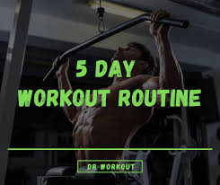 5 Day Workout Routine With Pdf Dr