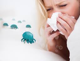 dust mite allergy