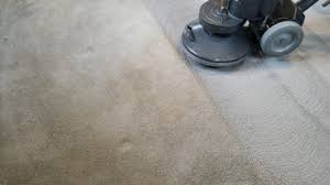 best 15 carpet cleaners in ft collins