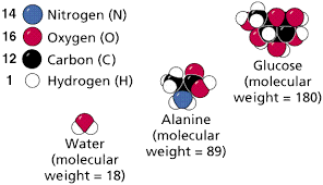 chemistry i atomolecules