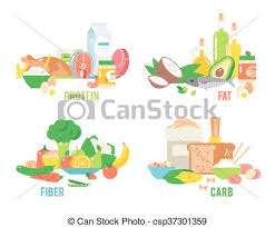 Food Sources Vector Set