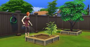 the sims 4 gardening skill and plant
