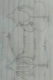 If helped plz mark as brainliest. Draw A Longitudinal Section Of A Flower And Label The Following Parts Brainly In