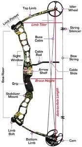 Compound Bow Selection Guide The Big Read For Prospective