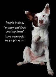 Adopting rescue dogs is the right thing to do. What People Won T Tell You About Rescue Dogs Dog Quotes I Love Dogs Baby Dogs