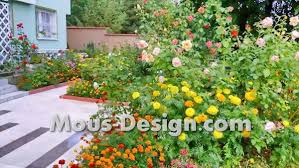 Градински мебели от палети и ратан. Cvetya V Ksha Gradina Naj Koloriten Raznoobrazie Mous Design Com