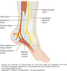 Bone and Joint Bamboozler     LITFL Clinical Cases     Ankle Sprains Podiatry Today 