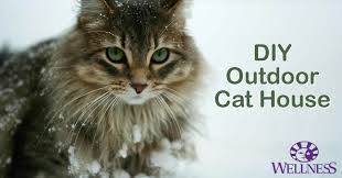 See more ideas about cat shelters for winter, cat shelter, cat pod. How To Make An Outdoor Cat House For Winter