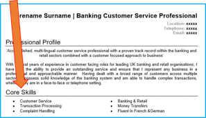 Customer Service Cv Example With Writing Guide And Cv Template