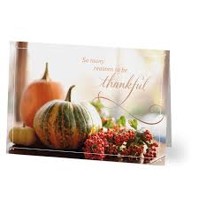 Hallmark Business Thanksgiving Card For Customers Or Employees Gourds Berries Thanksgiving Pack Of 25 Greeting Cards