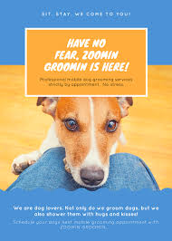 We will come to you with our mobile pet grooming center. Mobile Pet Grooming Services For Home Zoomin Groomin 855 825 Pets Best Mobile Pet Grooming By Zoomin Groomin Eco Friendly Pet Grooming Service
