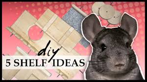 5 diy cage ledges for chinchillas