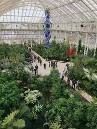 a local s guide to kew gardens plan