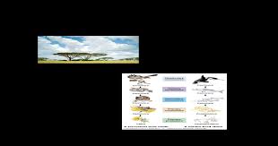 Pada ekosistem laut daerah yang komponen tingkat produsennya paling banyak adalah daerah…. Ekologi Dan Konsep Ekosistem Pdf Document
