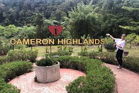 The retreat has a diverse population of more than 43,000 people. Guided Cameron Highland Day Tour From Kuala Lumpur Private Basis Marriott Vacation Club